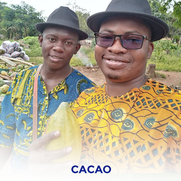 Cacao